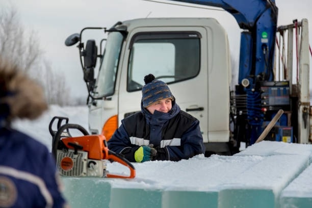 Mastering Cold Conditions: The Definitive Guide to the Best Winter Work Gloves for Every Task