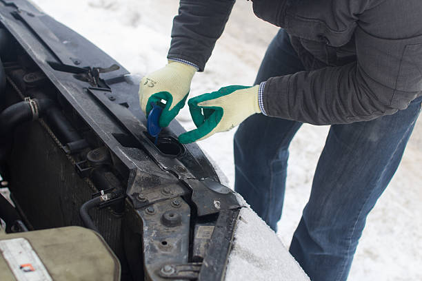 Mastering Comfort: The Essential Guide to Work Gloves Thermal Protection