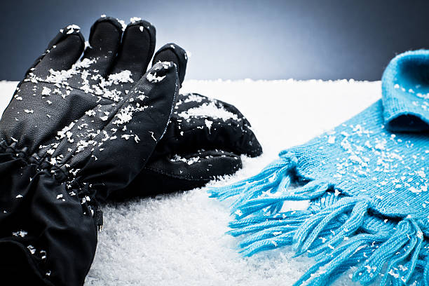 The Chill with the Best Gloves for Freezer Work