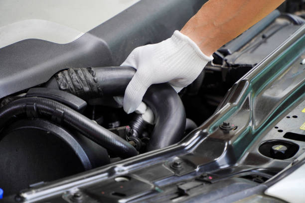 The Whisper of Comfort: Exploring the Unassuming Elegance of White Cotton Work Gloves