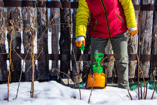 Unveiling the Mastery: High Dexterity Insulated Work Gloves Redefining Excellence