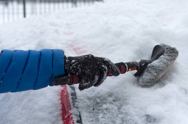 Waterproof Winter Work Gloves in Canada