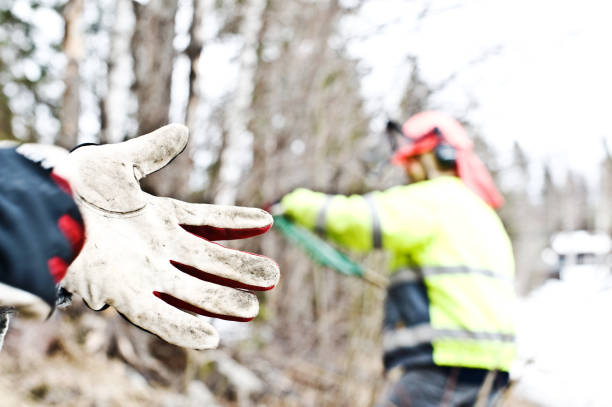 Cold Weather Work Gloves with Dexterity