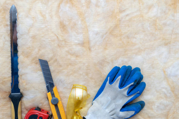 Conquering the Chill: Unveiling Mastery with Cold Weather Work Gloves and Dexterity