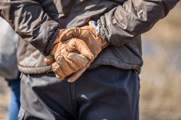 Embrace Winter's Grind: Unveiling the Best Cold Weather Leather Work Gloves for Ultimate Warmth