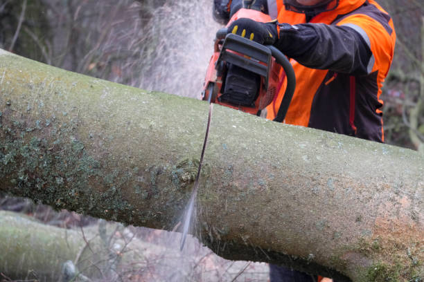 Mastering Toughness: Exploring the Realm of Black Mamba Work Gloves