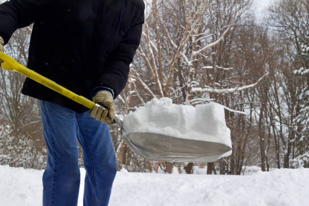Mastering Winter's Chill: Unveiling the Zenith of Warmth with the Best Insulated Winter Work Gloves