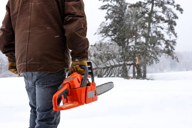 Milwaukee Winter Work Gloves: The Pinnacle of Cold-Weather Protection