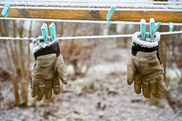 Stay Warm and Protected with Insulated Work Gloves for Cold Weather