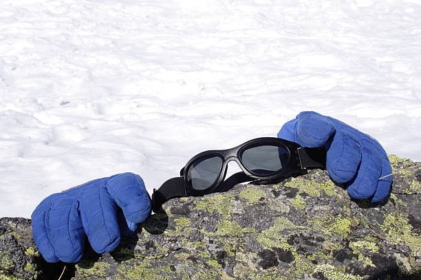 Ultimate Guide to Holmes Heavy Duty Leather Winter Work Gloves: Your Essential Companion for Extreme Cold Conditions