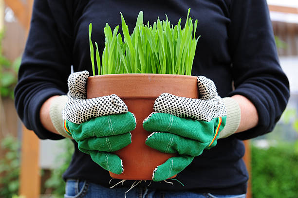 Unveiling Unmatched Comfort and Protection: Women's Lined Work Gloves