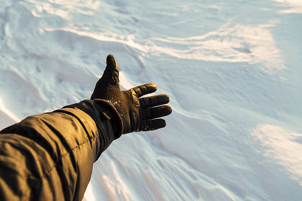 Winter's Warm Embrace: The Superiority of Lined Winter Work Gloves