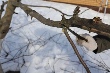 Mastering the Cold: Unveiling the Epitome of Protection with the Best Winter Gloves for Work