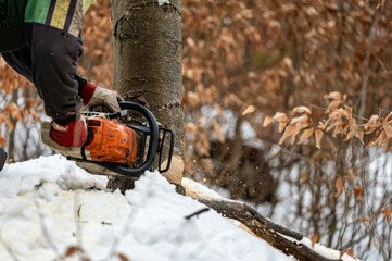 Winter's Challenges: Discovering the Pinnacle with the Best Winter Gloves for Work