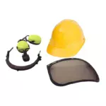 Forester’s helmet kit type 2 DeltaPlus