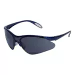Safety Glasses JS 410 with Blue Frame DeltaPlus